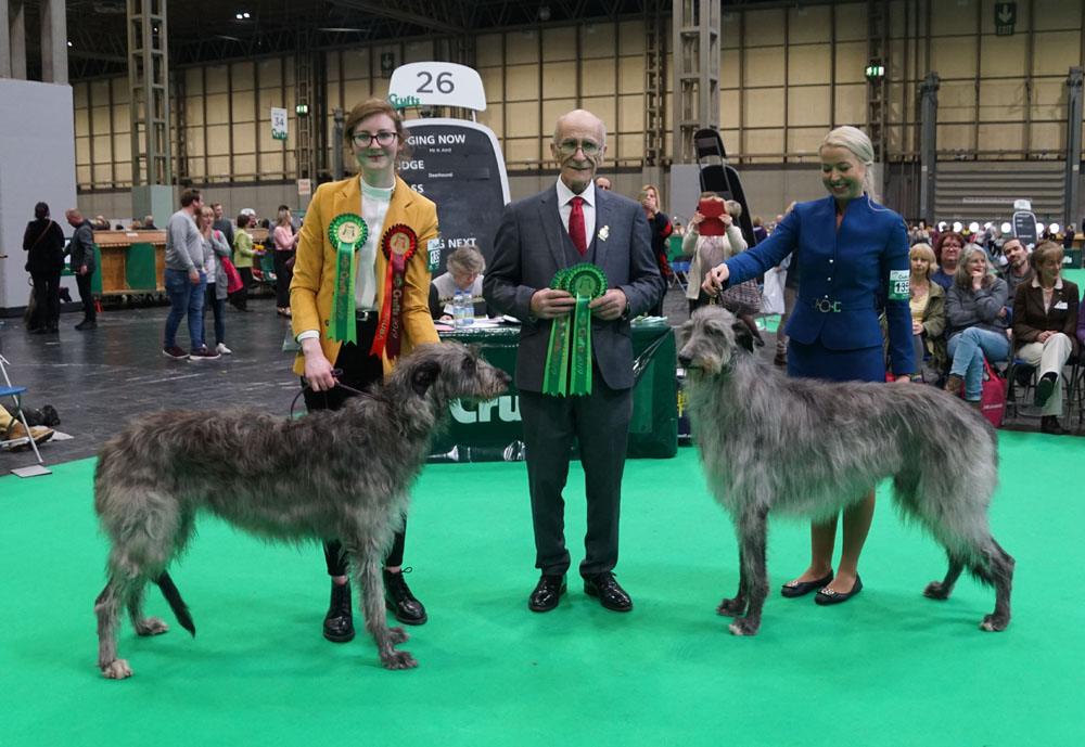 CC Winners Crufts 2017